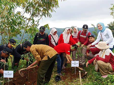Menakar Strategi Berkebun Pohon Emas - raincitystudios.com