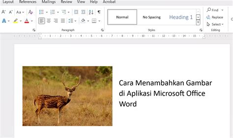 Menambahkan & mengedit diagram atau grafik - Komputer - Bantuan … - coolestguyplanet.net