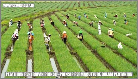 Menerapkan Prinsip-Prinsip Permaculture dalam Budi … - raincitystudios.com