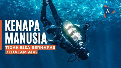 Mengapa Manusia Tidak Bisa Mendengar dengan Baik di dalam Air ... - raincitystudios.com