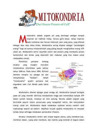 mengapa mitokondria disebut dengan the power house... - Roboguru - muktibox.com