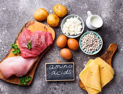 Mengenal Amino Acid dan Fungsinya untuk Tubuh - wintechmobiles.com