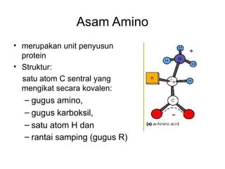 Mengenal Apa Itu Asam Amino, Ragam Jenis, dan Fungsinya - Realfood - wintechmobiles.com