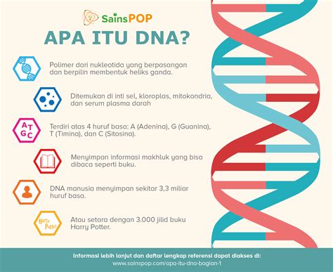 Mengenal Apa Itu DNA - wintechmobiles.com