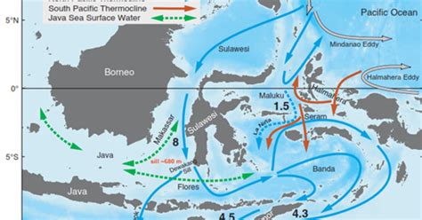 Mengenal Arus Lintas Indonesia (ARLINDO) - National Oceanographic - wintechmobiles.com