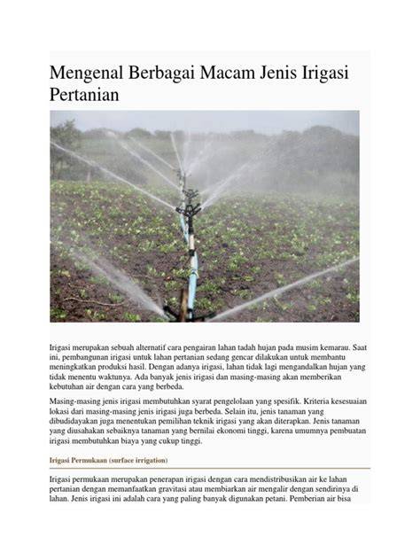 Mengenal Berbagai Jenis Irigasi untuk Pertanian - raincitystudios.com