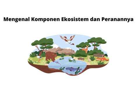 Mengenal Ekosistem Polkadot - Pluang - coolestguyplanet.net