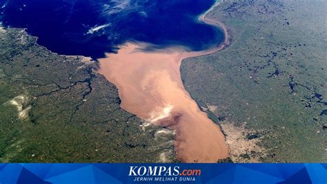 Mengenal Estuaria, Tipe-Tipe, dan Fungsinya - muktibox.com