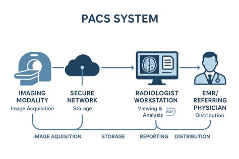 Mengenal Fungsi PACS dalam Radiologi Modern - coolestguyplanet.net