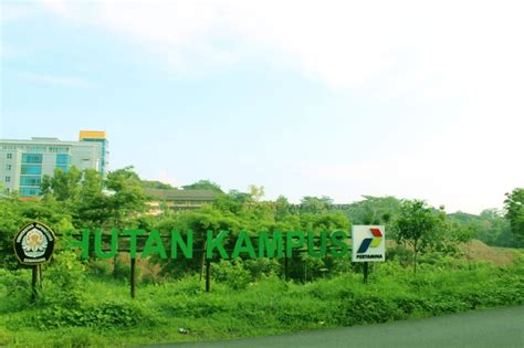 Mengenal Hutan Kampus UNDIP: Laboratorium Alam … - raincitystudios.com