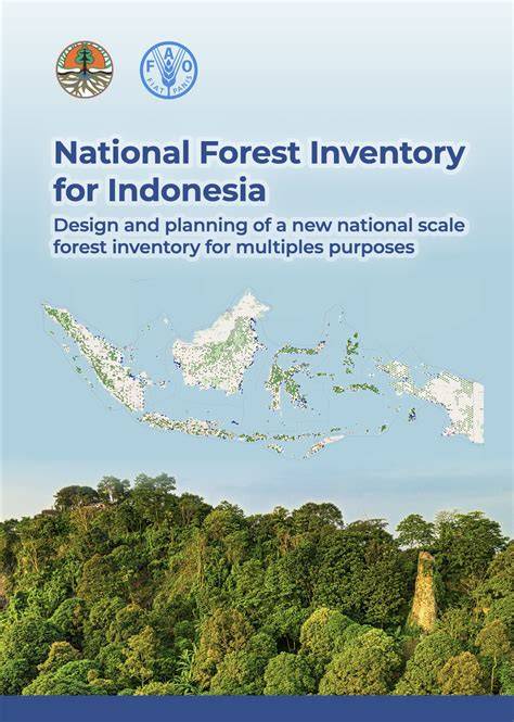 Mengenal Inventarisasi Hutan Nasional - Blogger - raincitystudios.com