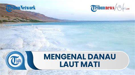 Mengenal Laut Mati: Lokasi, Fakta, dan Tips Berendam - raincitystudios.com