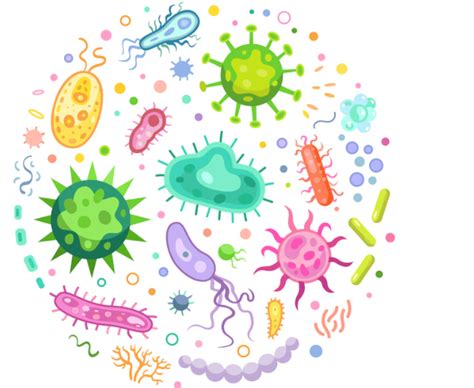 Mengenal Patogen dan Contohnya - Media Indonesia - muktibox.com