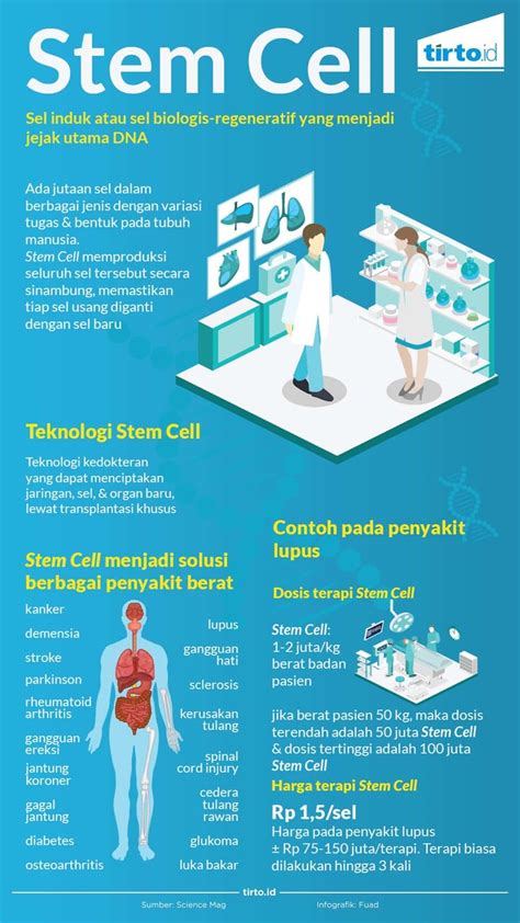 MENGENAL PENGOBATAN STEM CELL, TEROBOSAN TERAPI UNTUK … - muktibox.com