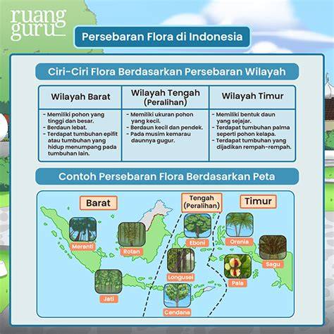 Mengenal Persebaran Kawasan Flora Indonesia - raincitystudios.com