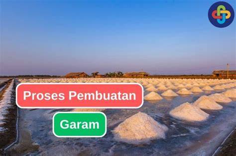 Mengenal Proses Pembuatan Garam dari Air Laut - raincitystudios.com