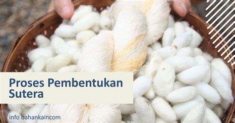 Mengenal Proses Pembuatan Kain Sutera - muktibox.com