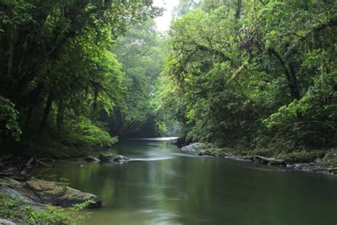 Mengenal Taman Nasional Betung Kerihun - Traveloka - raincitystudios.com