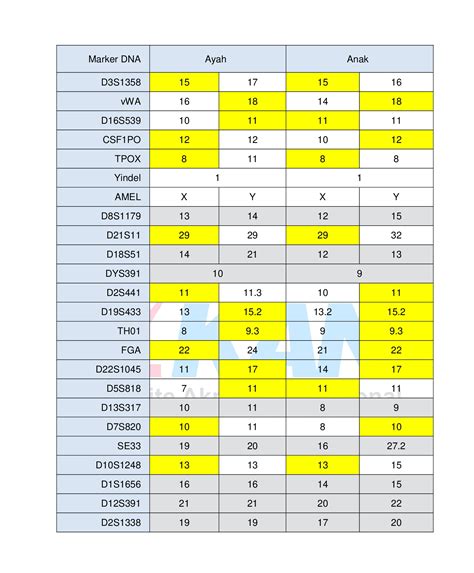 Mengenal Tes Paternitas DNA Private | Regene - wintechmobiles.com