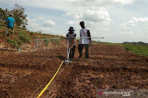 Mengoptimalkan Potensi Lahan: Implementasi Teknologi Irigasi Hemat Air ... - raincitystudios.com