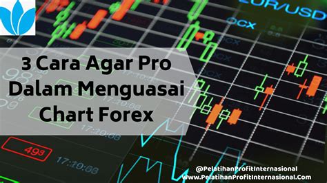 Menguasai trading Forex & Crypto dengan Wawasan dari Wikibit - coolestguyplanet.net