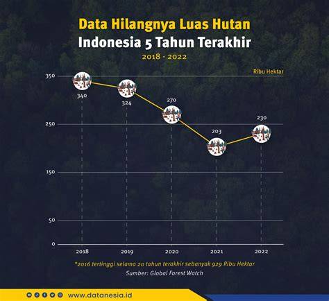 Mengulas Hilangnya Hutan Indonesia 2003-2018 - raincitystudios.com