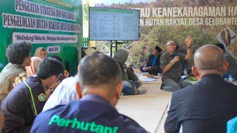 Meningkatkan Kapasitas Masyarakat dalam Pengelolaan Hutan ... - raincitystudios.com