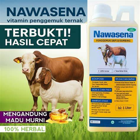 Meningkatkan Nafsu Makan Sapi dan Kambing dengan Nawasena - raincitystudios.com