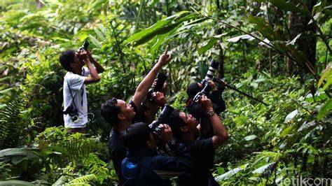 Menyelamatkan Hutan di Lereng Barat Gunung Slamet - detikNews - raincitystudios.com