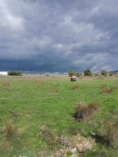 veodersti.rgarabwor.edu.pl. 