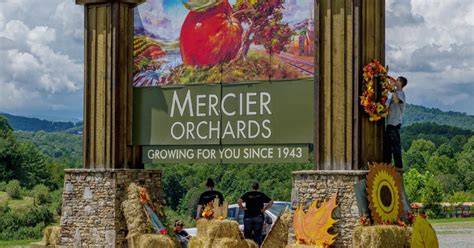 Mercier Orchards in Blue Ridge Georgia - raincitystudios.com