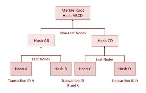 Merkle Trees & Merkle Roots: Bitcoin & Blockchain | Gemini - coolestguyplanet.net