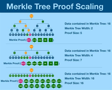 Merkle Trees - Decrypt - coolestguyplanet.net