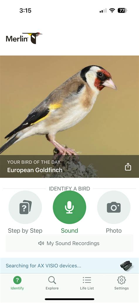 Merlin Bird Watching App - muktibox.com