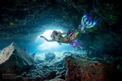 MERMAID - Marine Ecological Research Management … - raincitystudios.com