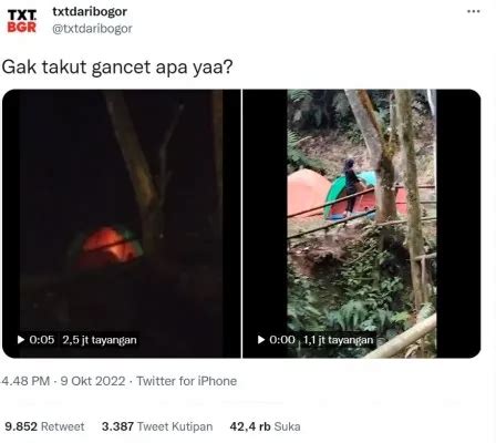 MESUM TWITTER plot hole yang diperdebatkan & pantai bugil pengetahuan umum epik penuh aksi geng kriminal terpopuler musim dingin kolesterol turun image 1