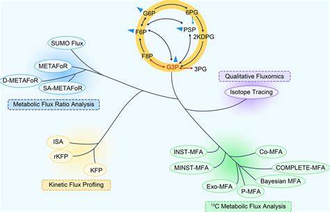 Metabolic Flux Modeling in Marine Ecosystems - PubMed - raincitystudios.com