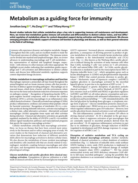 Metabolism as a guiding force for immunity - Nature - muktibox.com