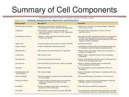 METC Hematology: Unit 1 Flashcards Quizlet