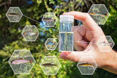 Methodology for fish biodiversity monitoring with environmental DNA ... - raincitystudios.com