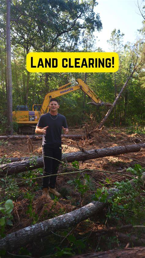 Methods of Land Clearing and Its Benefits - raincitystudios.com