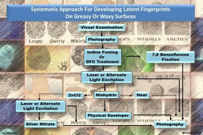 Methods Of Latent Fingerprint Developement - wintechmobiles.com