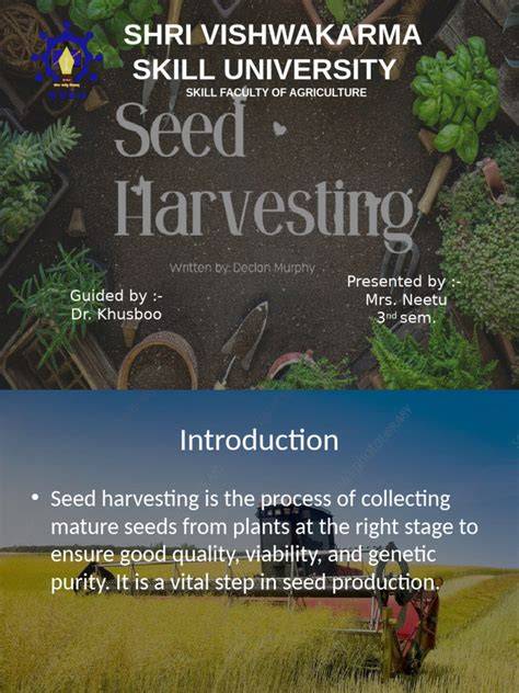 Methods of seed harvesting - raincitystudios.com
