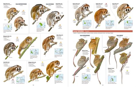 Methodsforecologicalresearchonterrestrialsmall mammals - JSTOR - raincitystudios.com