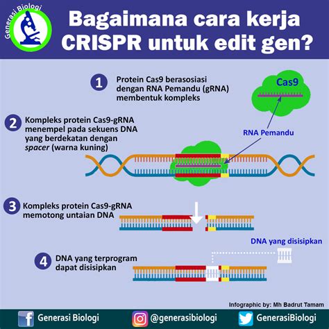 Metode Crispr - muktibox.com