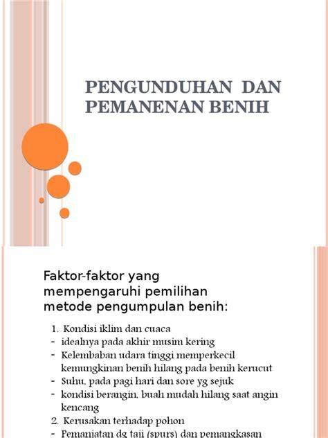 Metode Efektif Pengumpulan Benih - raincitystudios.com