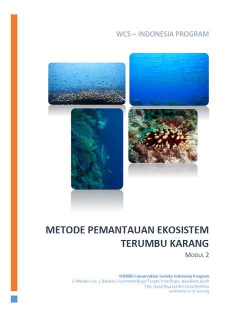 Metode Pemantauan Terumbu Karang WCS | PDF - raincitystudios.com
