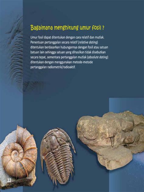 Metode Penentuan Umur Fosil | PDF | Sains - wintechmobiles.com