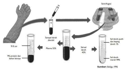 Metode Sentrifugasi Pemisahan Darah | PDF - Scribd - wintechmobiles.com