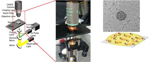 Micro and Nano Engineering | Plasmonics and Nanophotonics: Trends ... - wintechmobiles.com